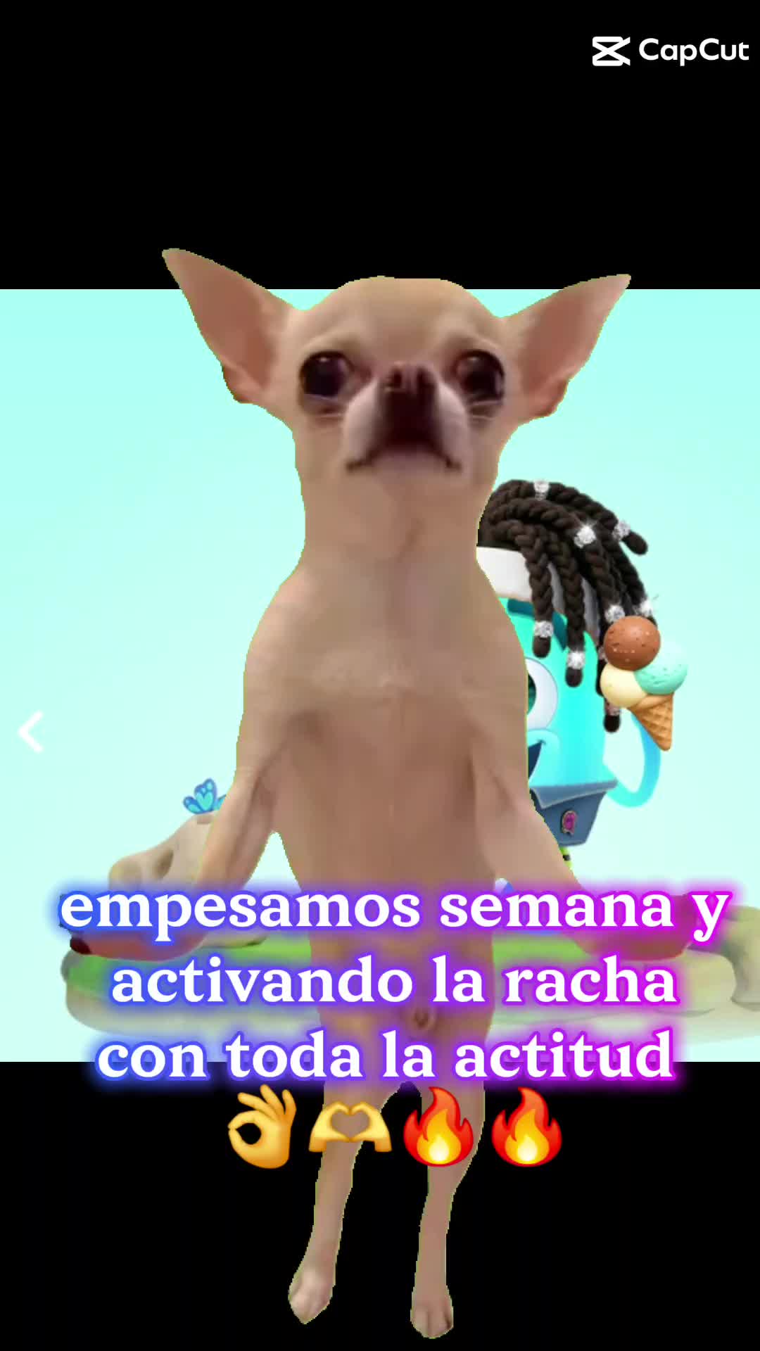 @🦁osiris "osi"🦋🧁🐬🎶🌅