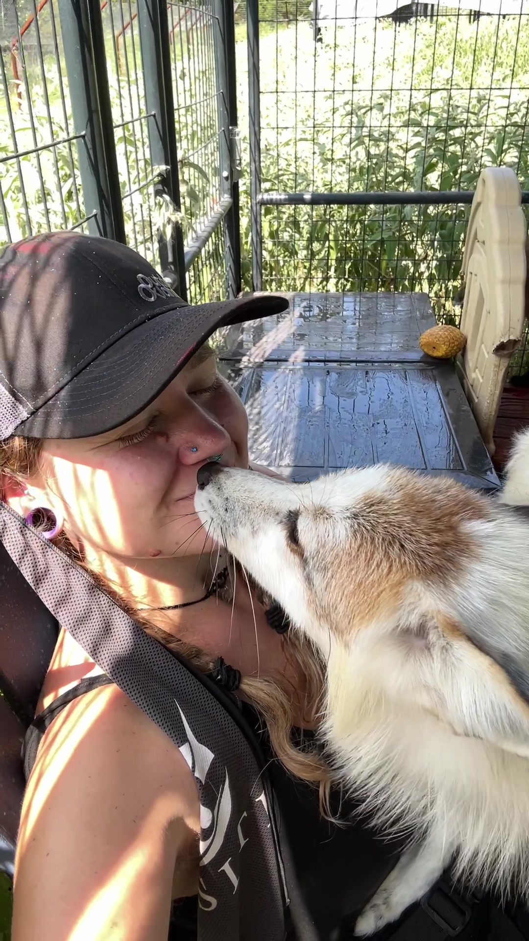 @Clevyr Creatures Fox Sanctuary
