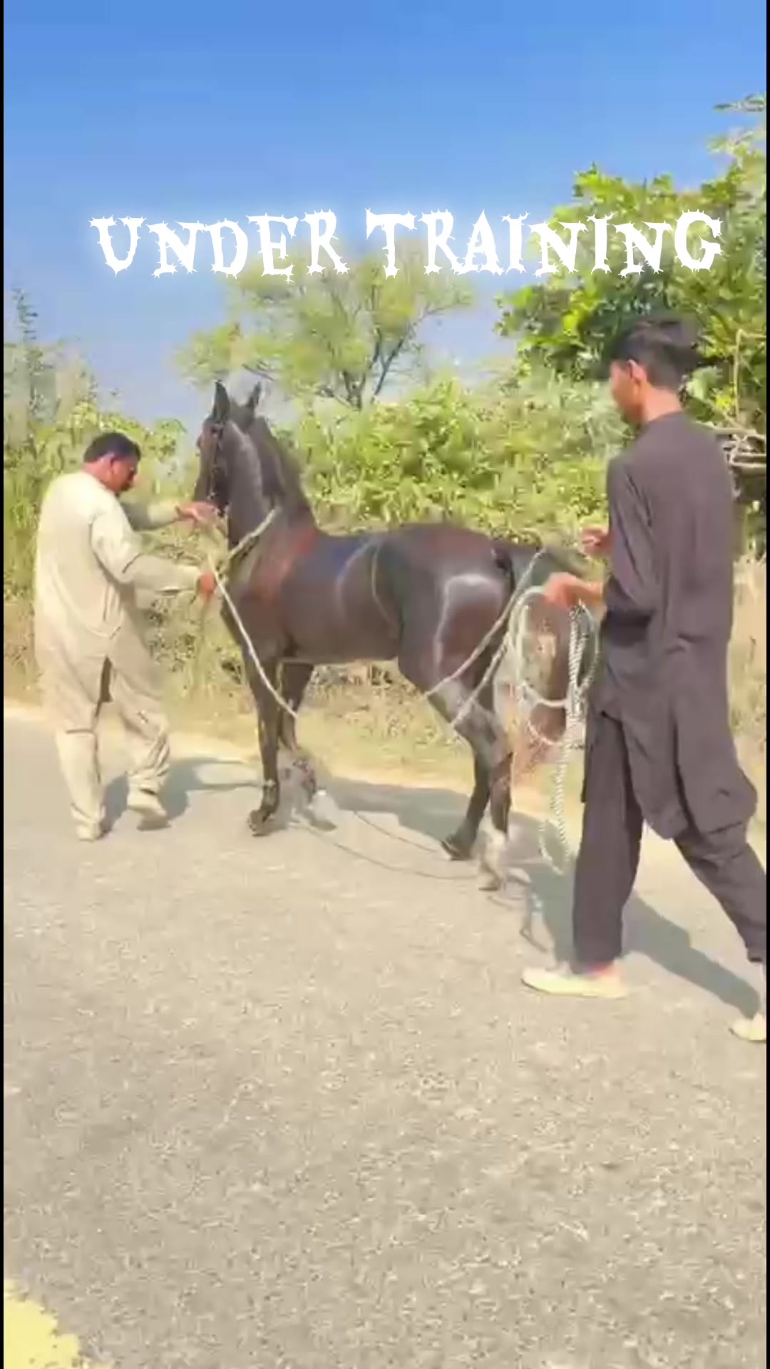 @chaudhry Farm house