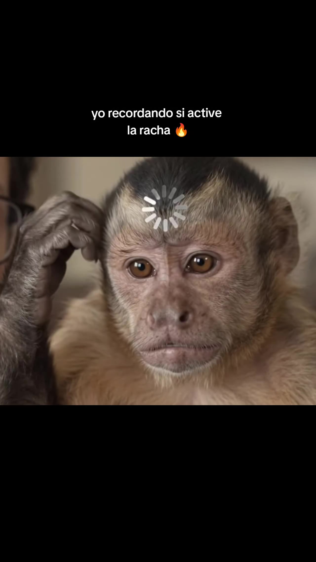 @RabPesito 🔥