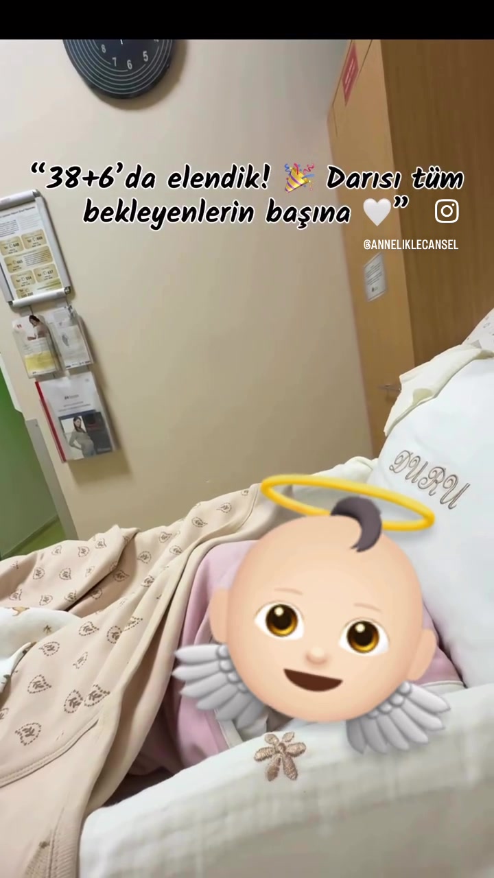 @birannebircansel