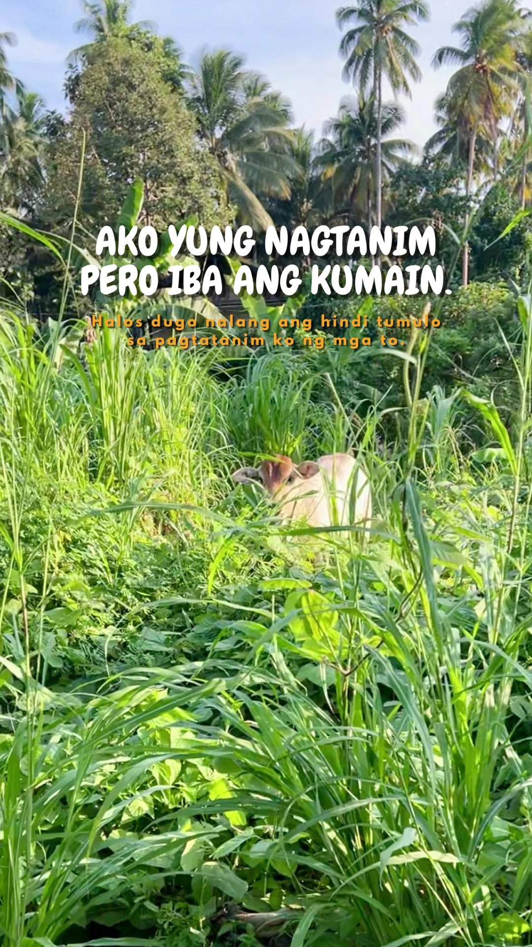 @indaypoypoy