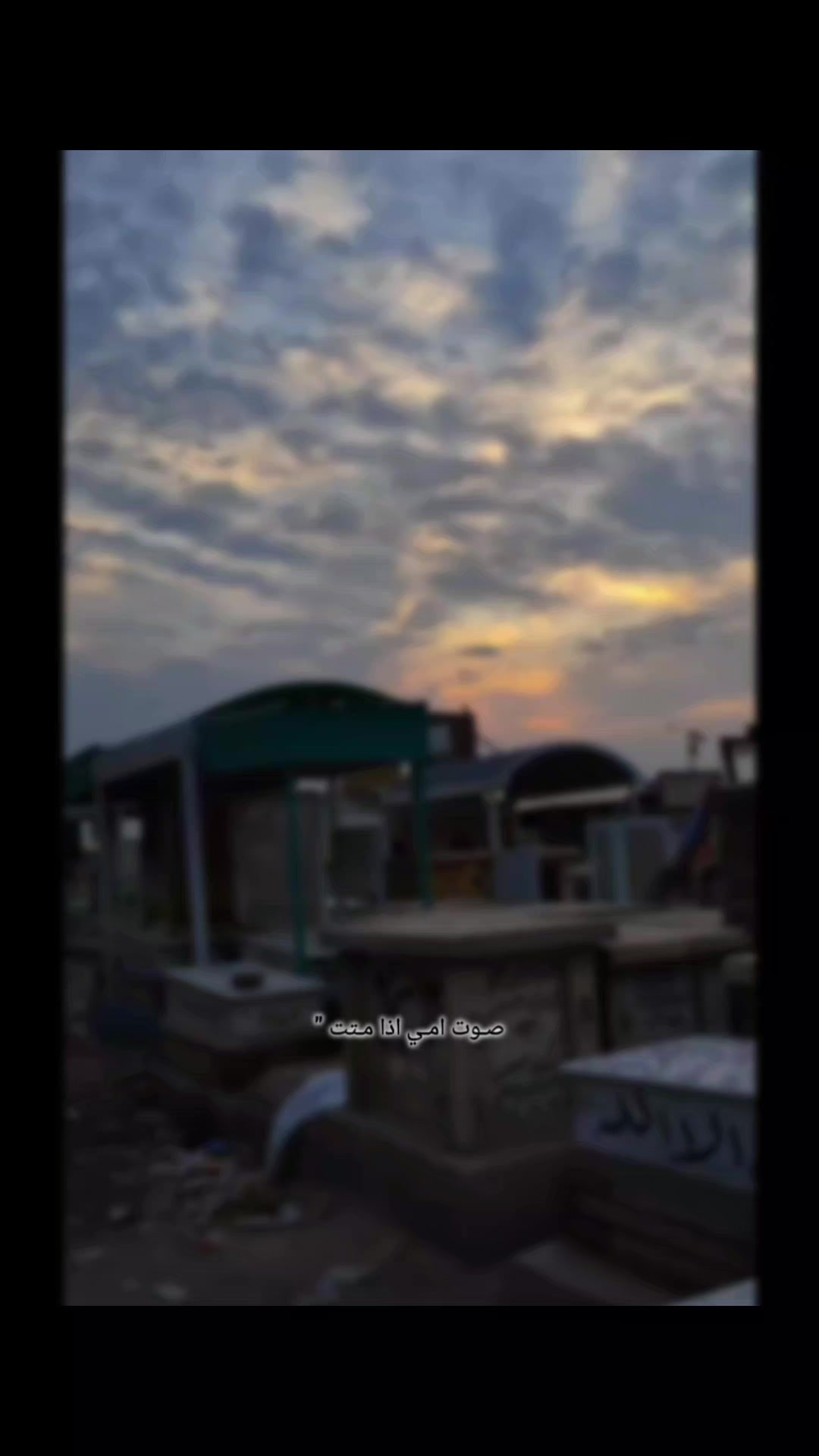 @مـهـﺟـة &sup3;&sup1;&sup3;