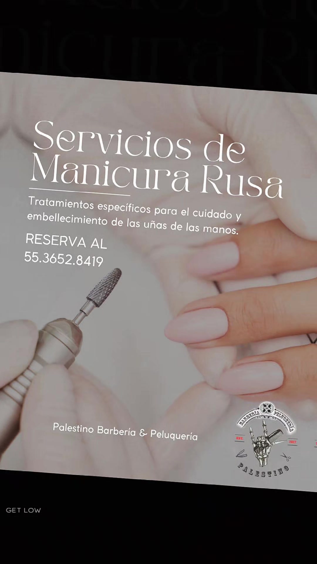 @sandrapalestino8