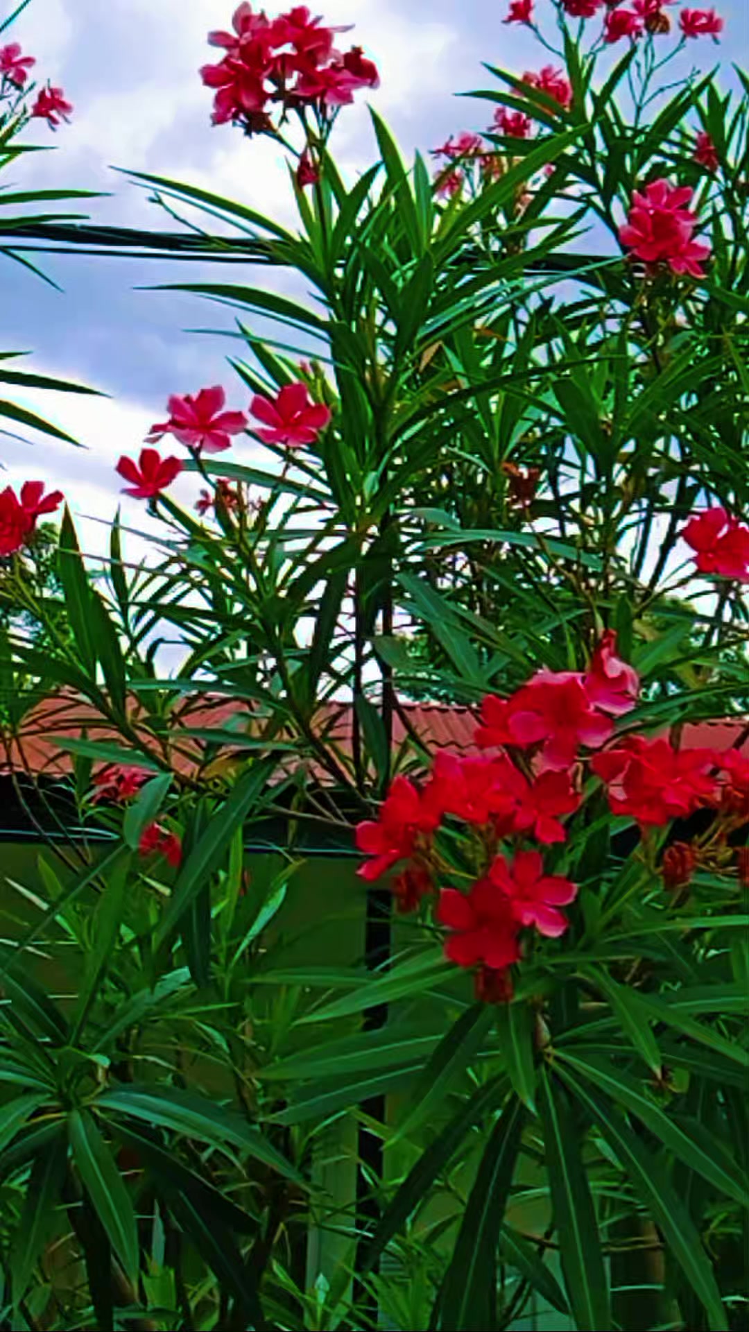 @Armendra Kumar Yadav