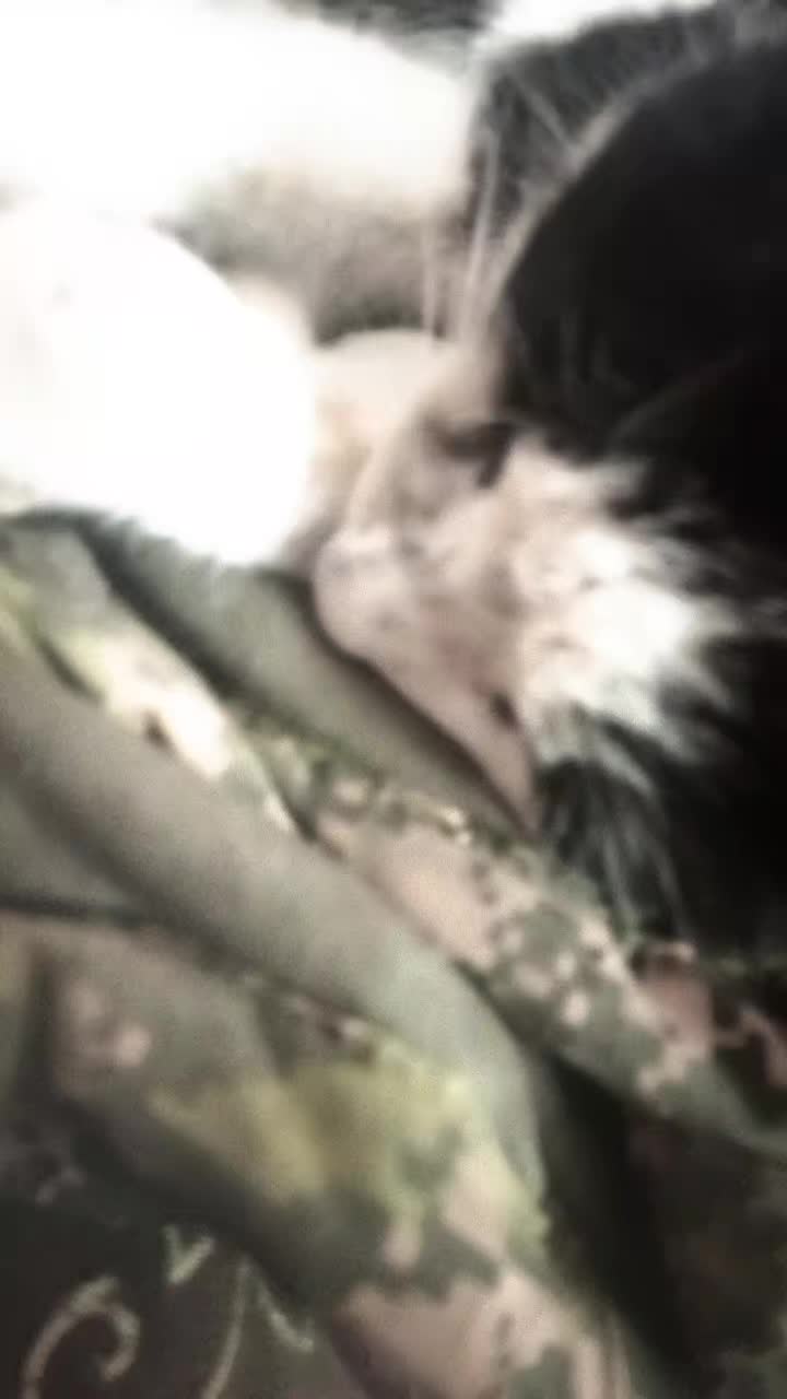@Мукабай 🐈