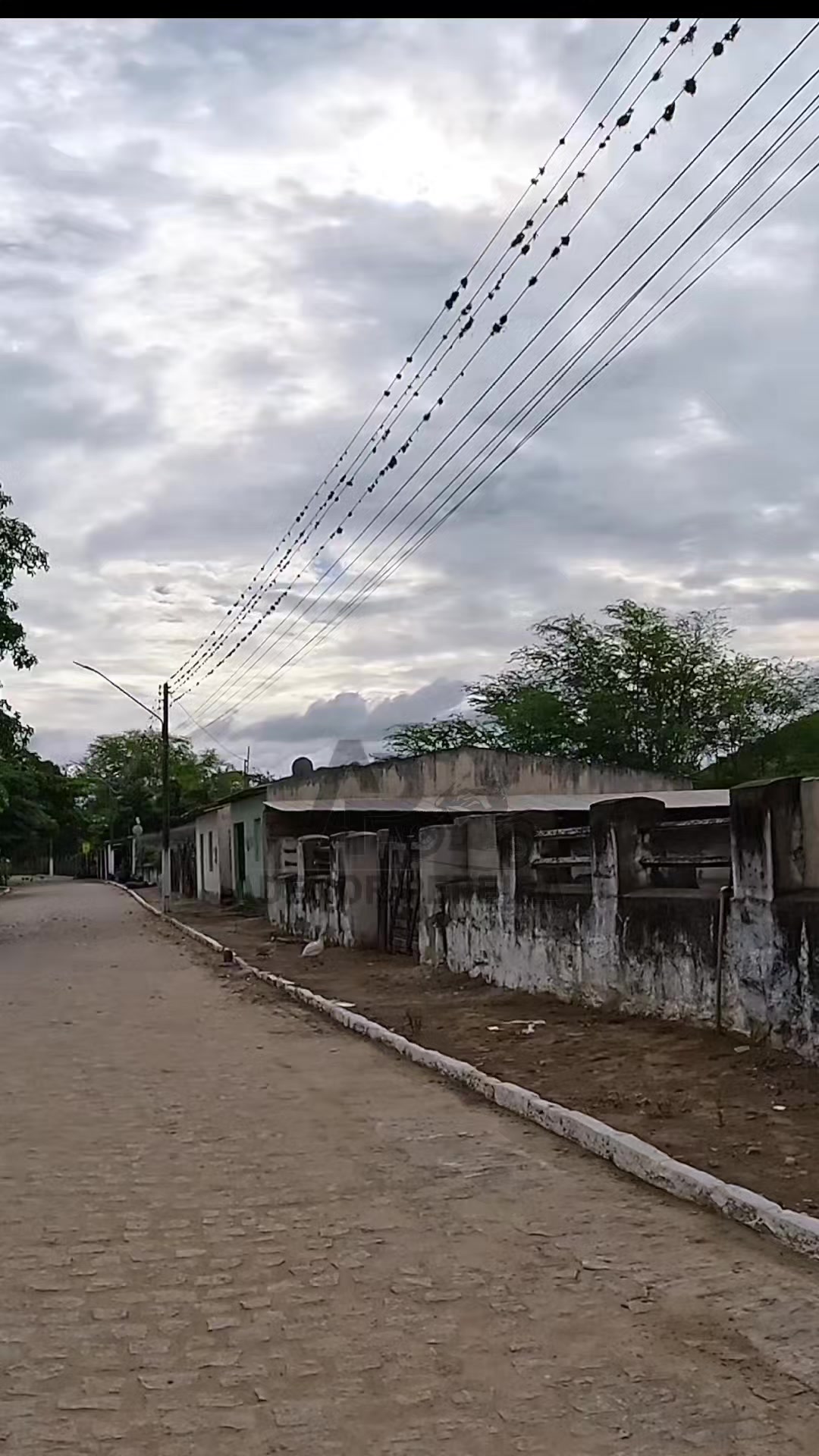 @adenor_pereira