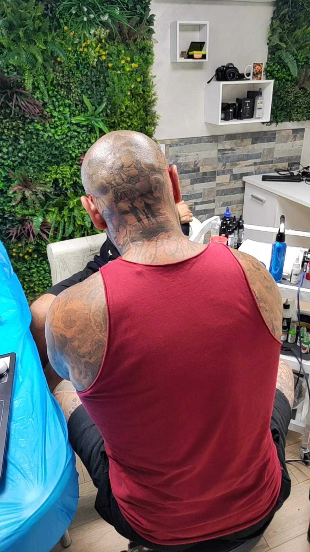 @Tattoo Šareni