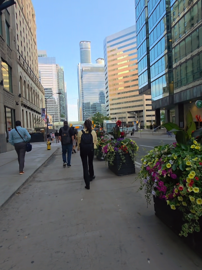 @travel/viaje/canada🌎mtl