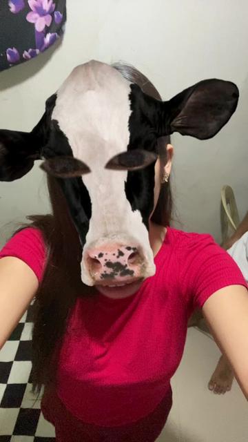 @a.shxr_