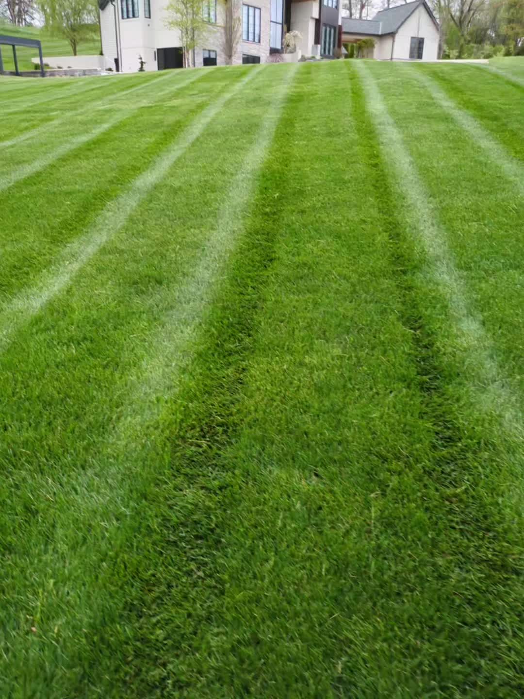 @mulletdingermaster3000