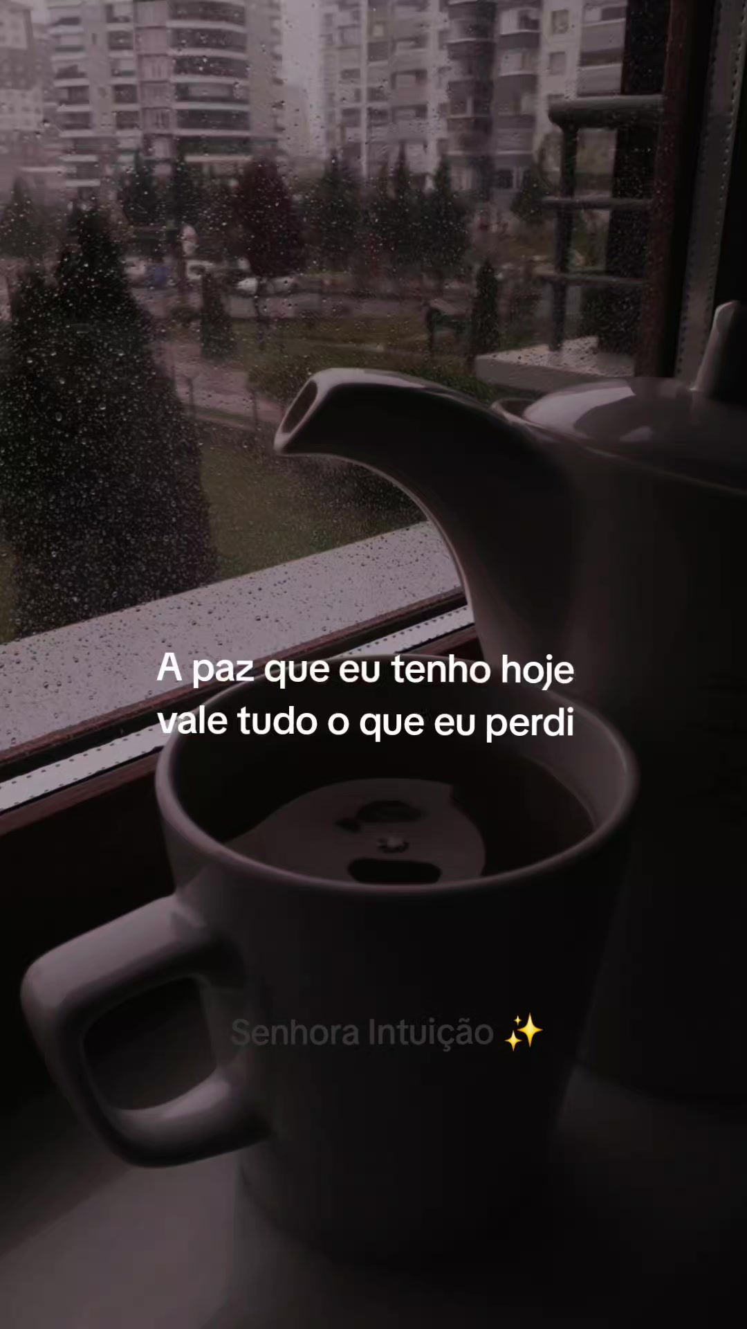 @Sra Intui&ccedil;&atilde;o ✨️
