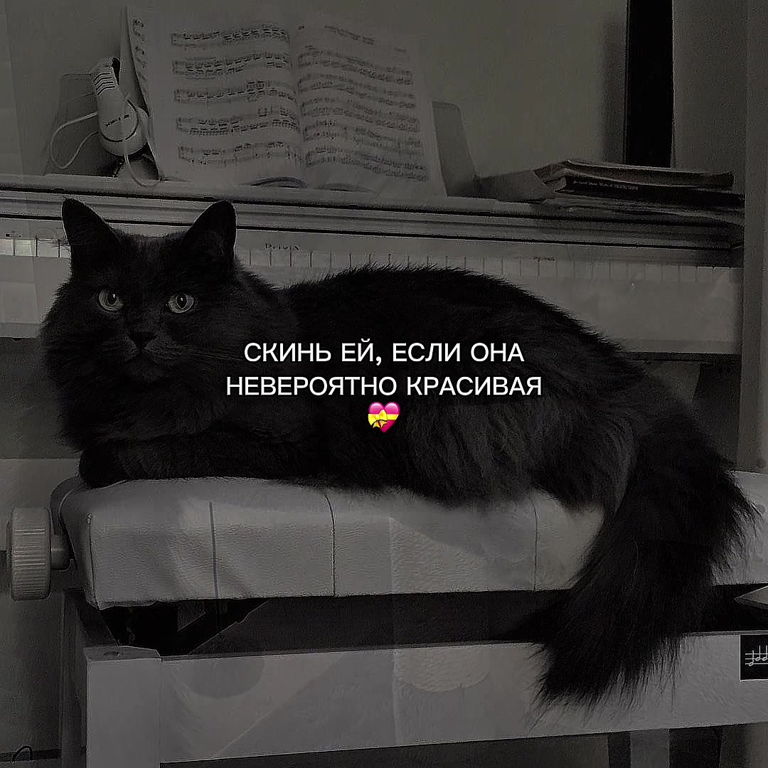 @ХХИКА