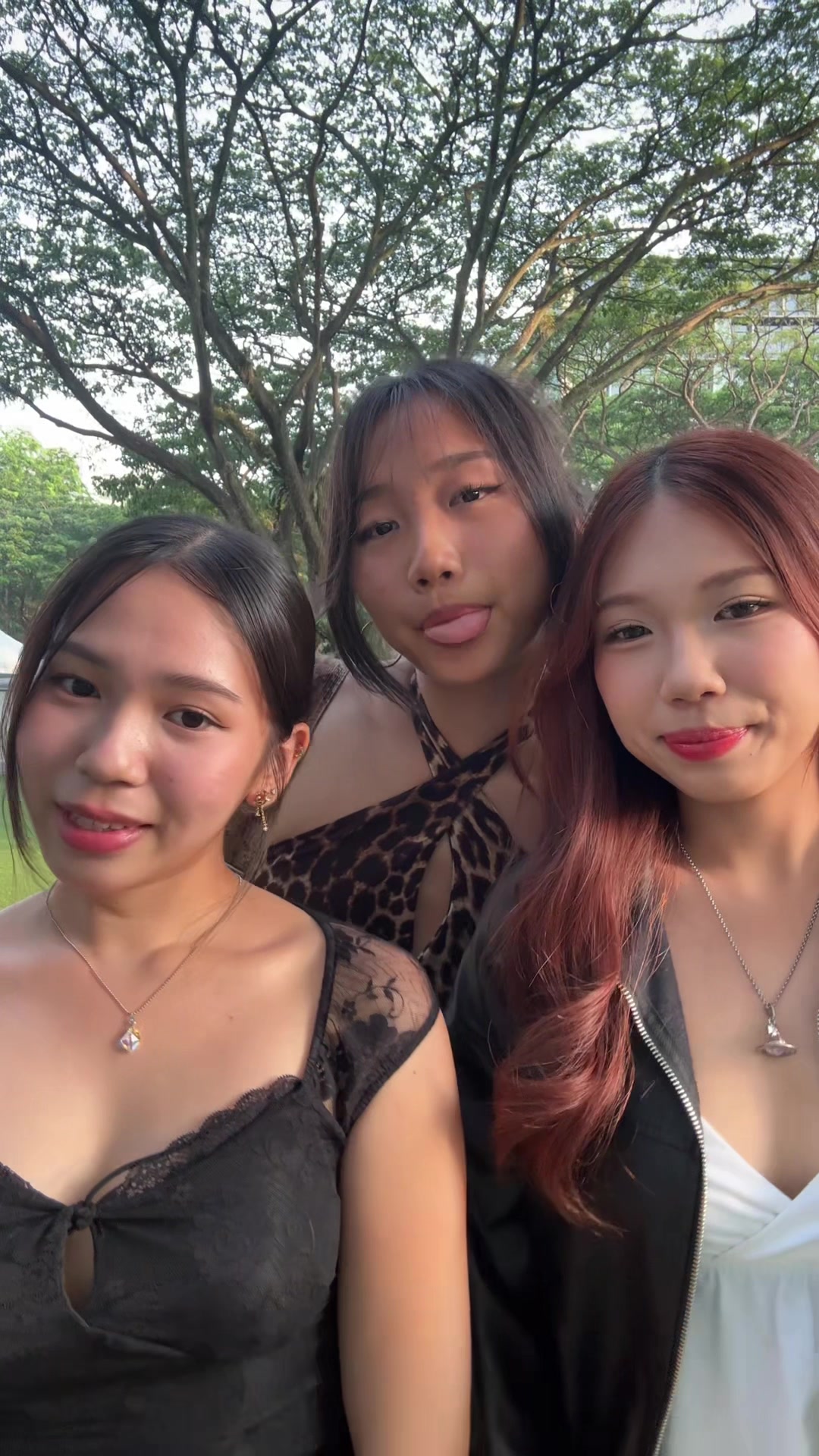 @kukujiao