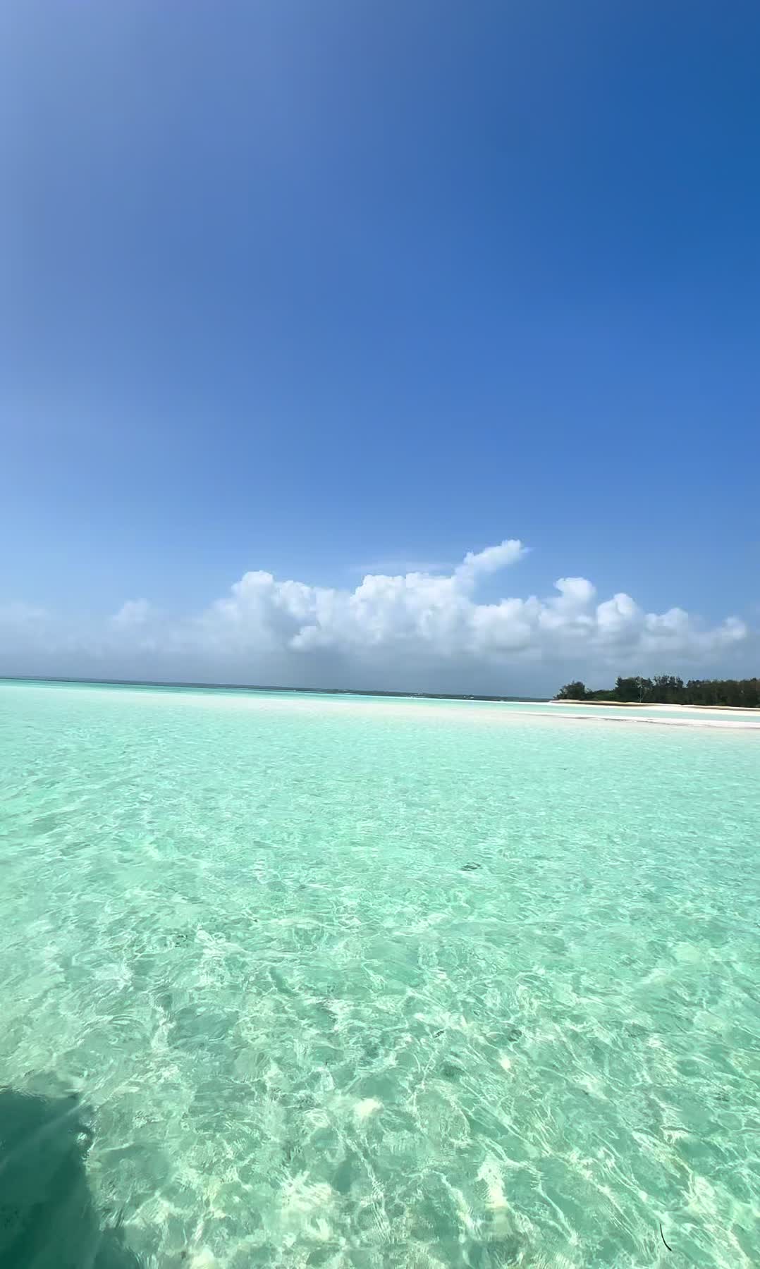 @ciccio_bello_di_zanzibar