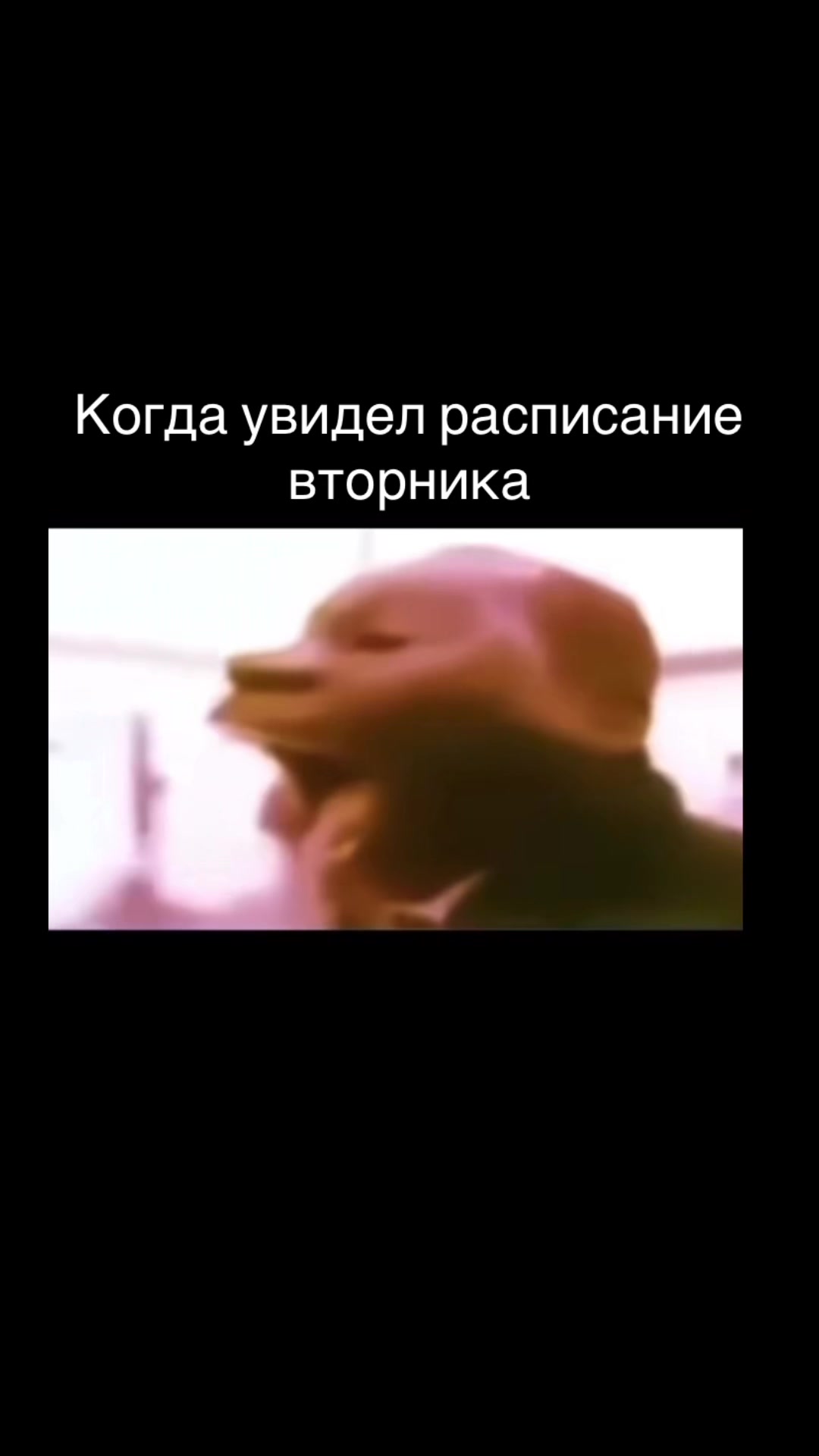 @Kazakh boy🇰🇿