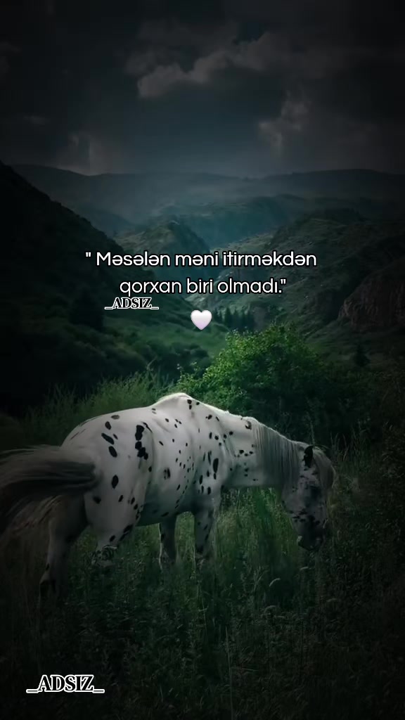 @_ADSIZ_