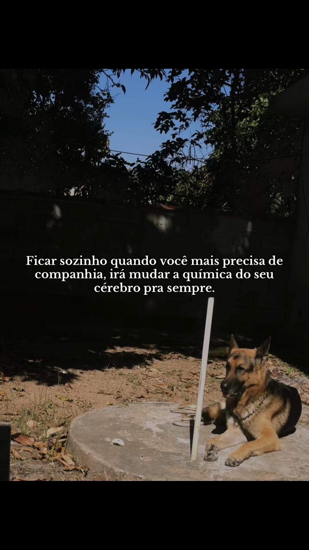 @_eucarol.souza