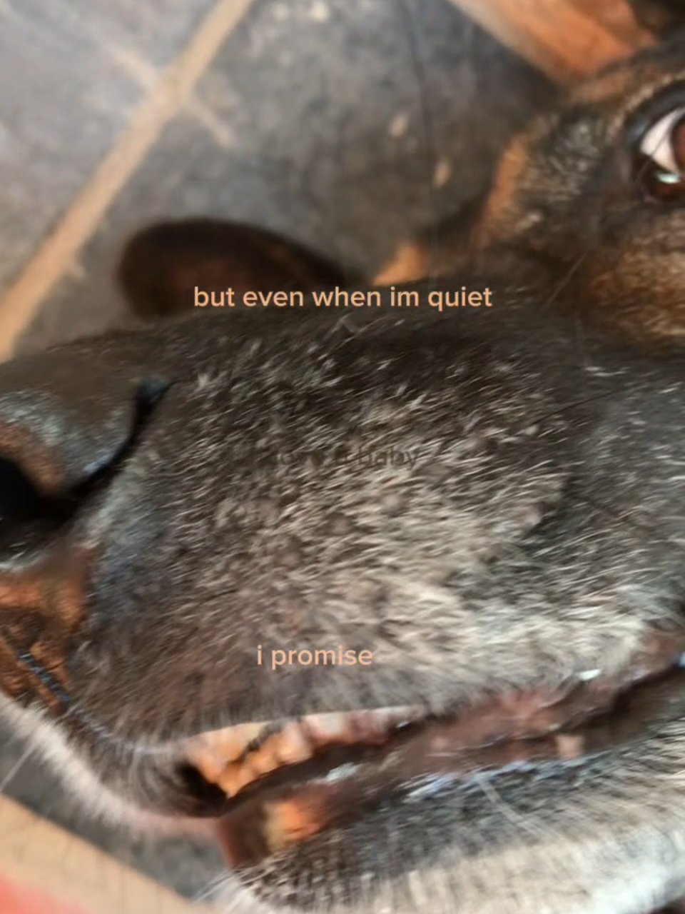 @ྀི