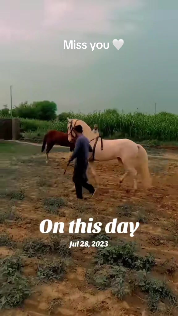 @Fahad JaTT Gangaal