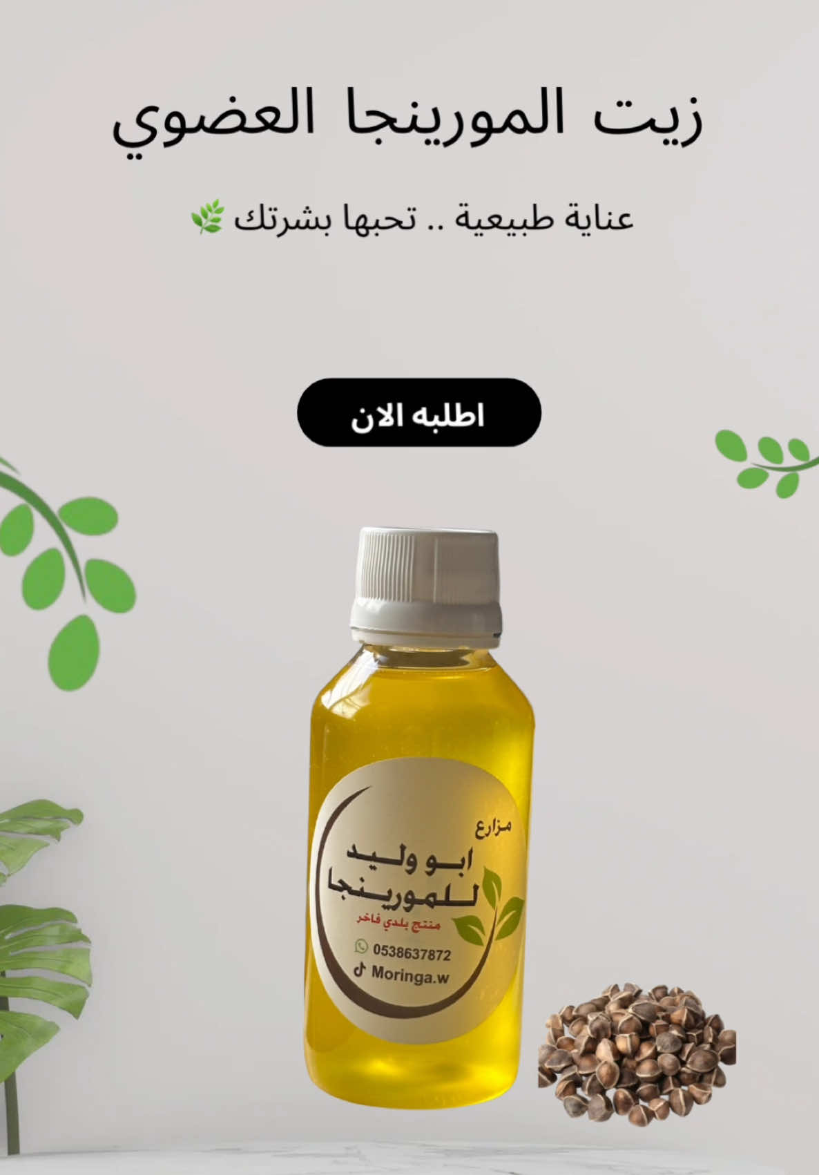 @مزارع ابو وليد للمورينجا 🌿