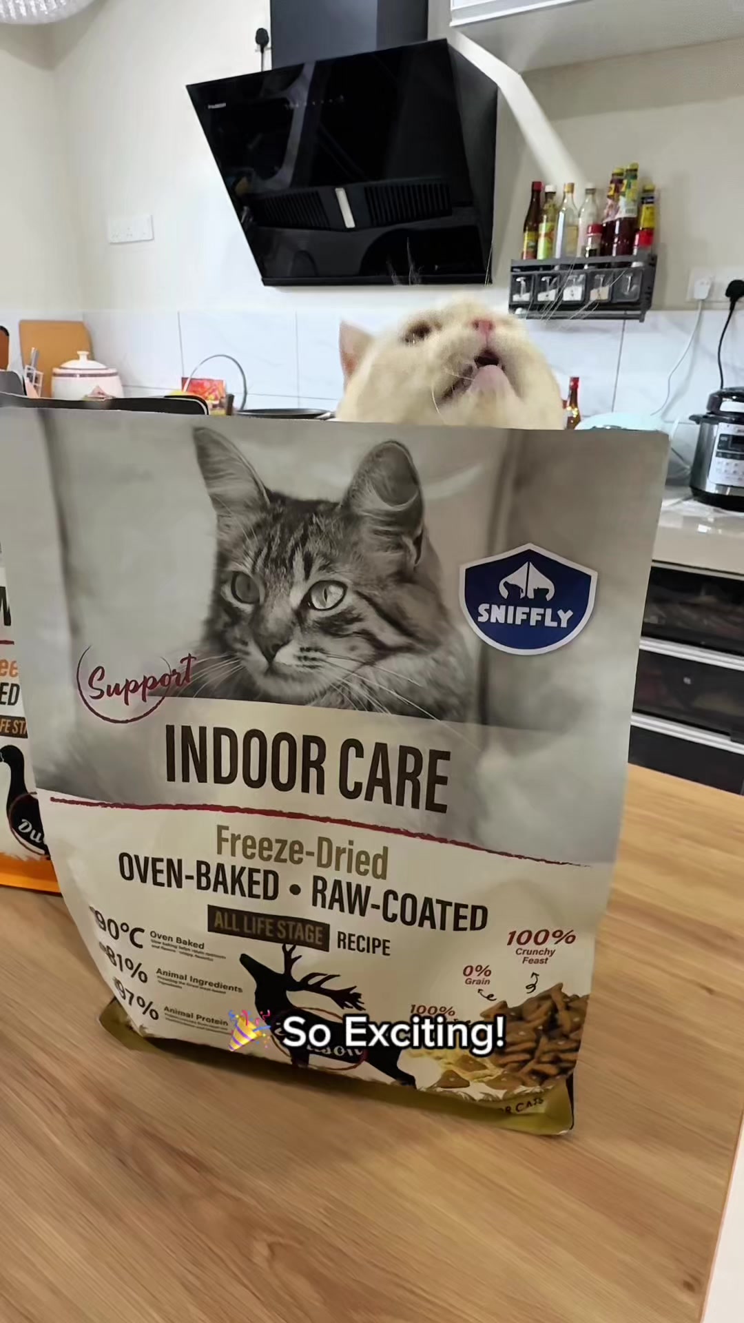 @Jessny Pet Lover