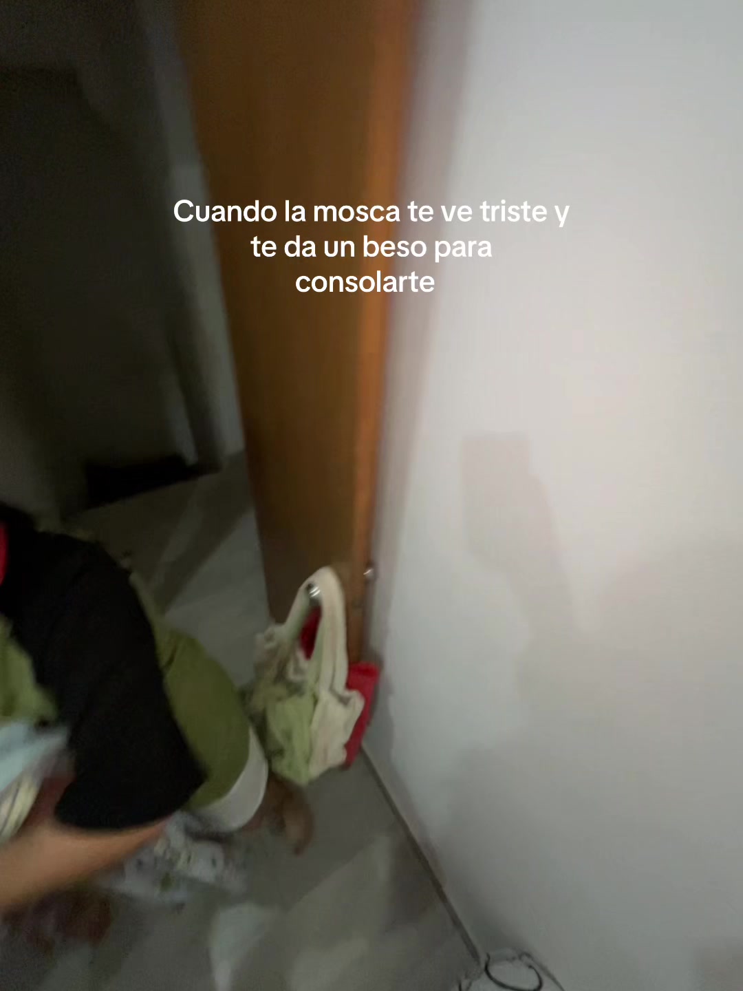@𝙻𝚊𝚜 𝚕𝚒𝚎𝚋𝚛𝚎𝚜🐇🐇 🐇
