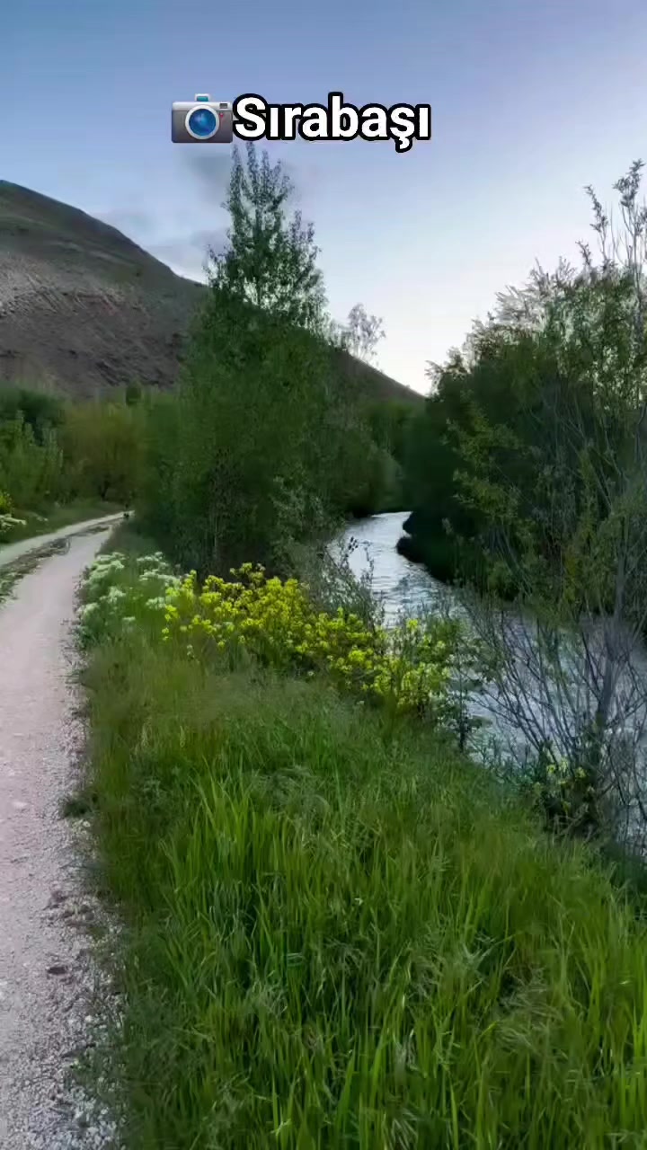 @hamit sırabaşı