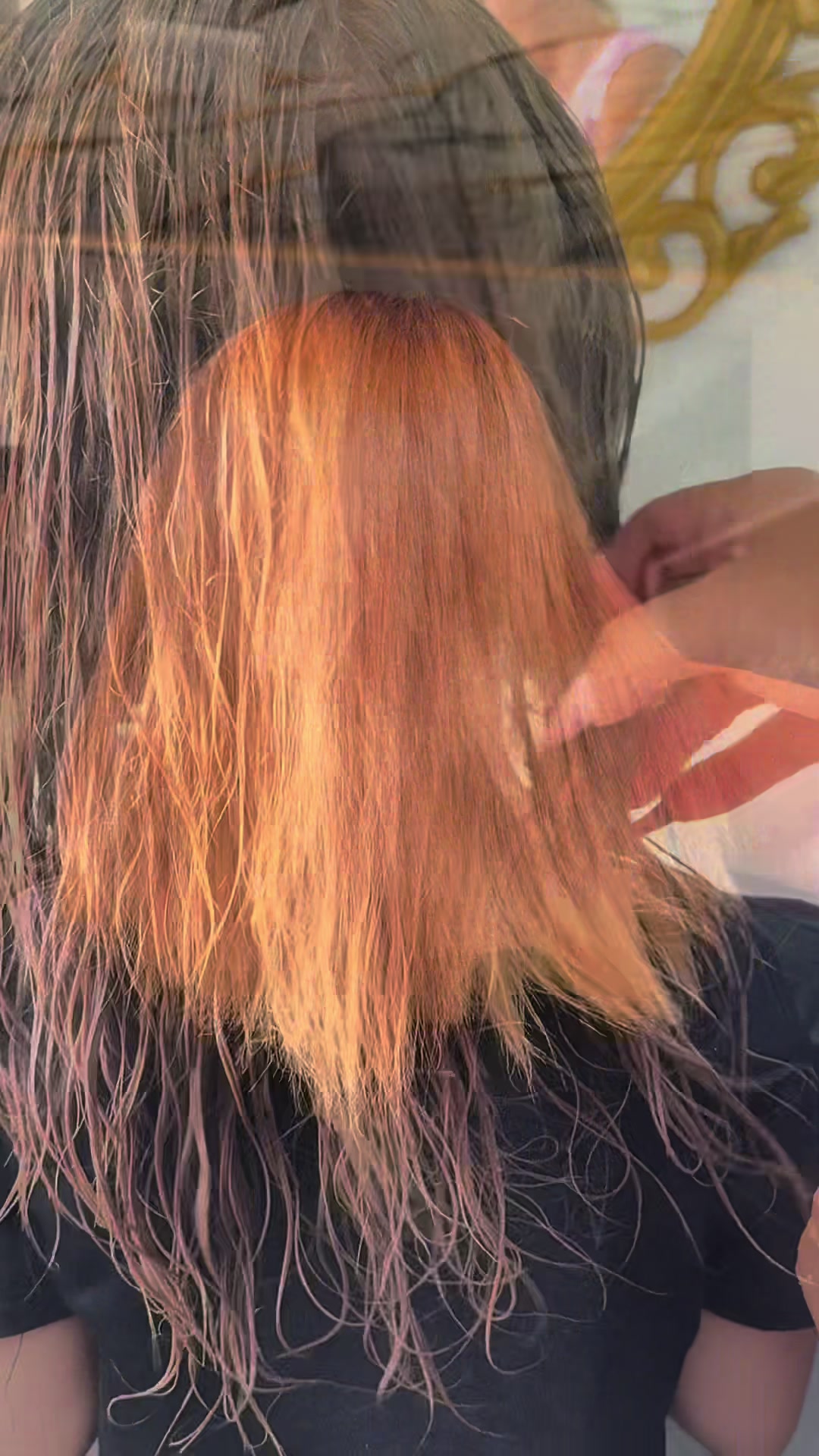 @__gulu_