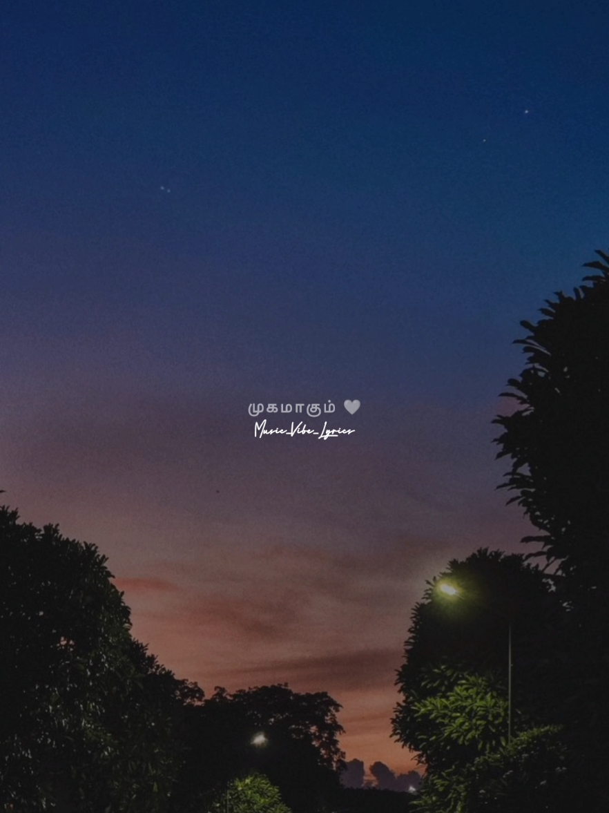@Music_Vibes_Lyrics 🎶