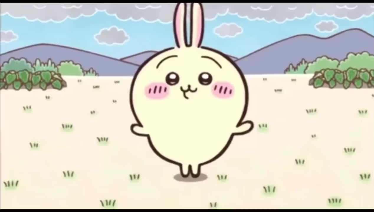 @pokeketoyland.com