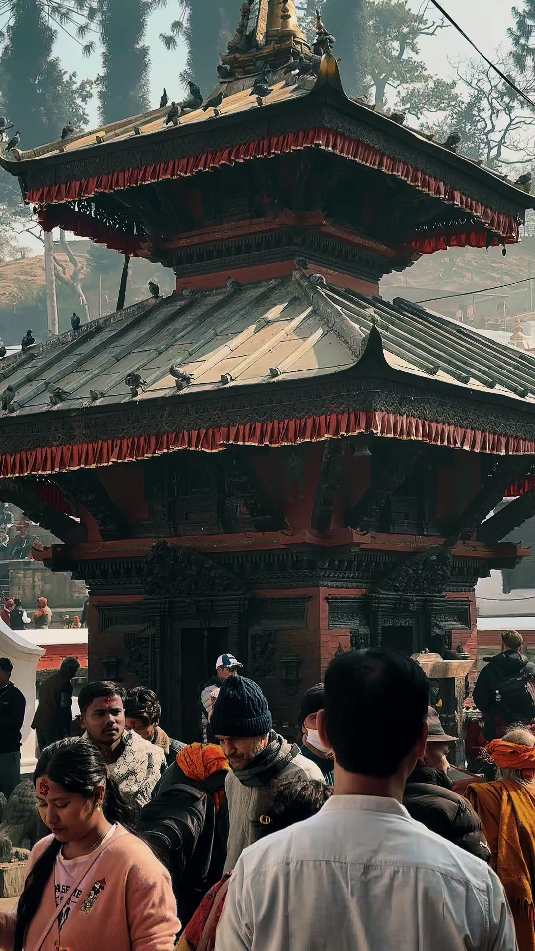 @BIKRAM _DARJEELING