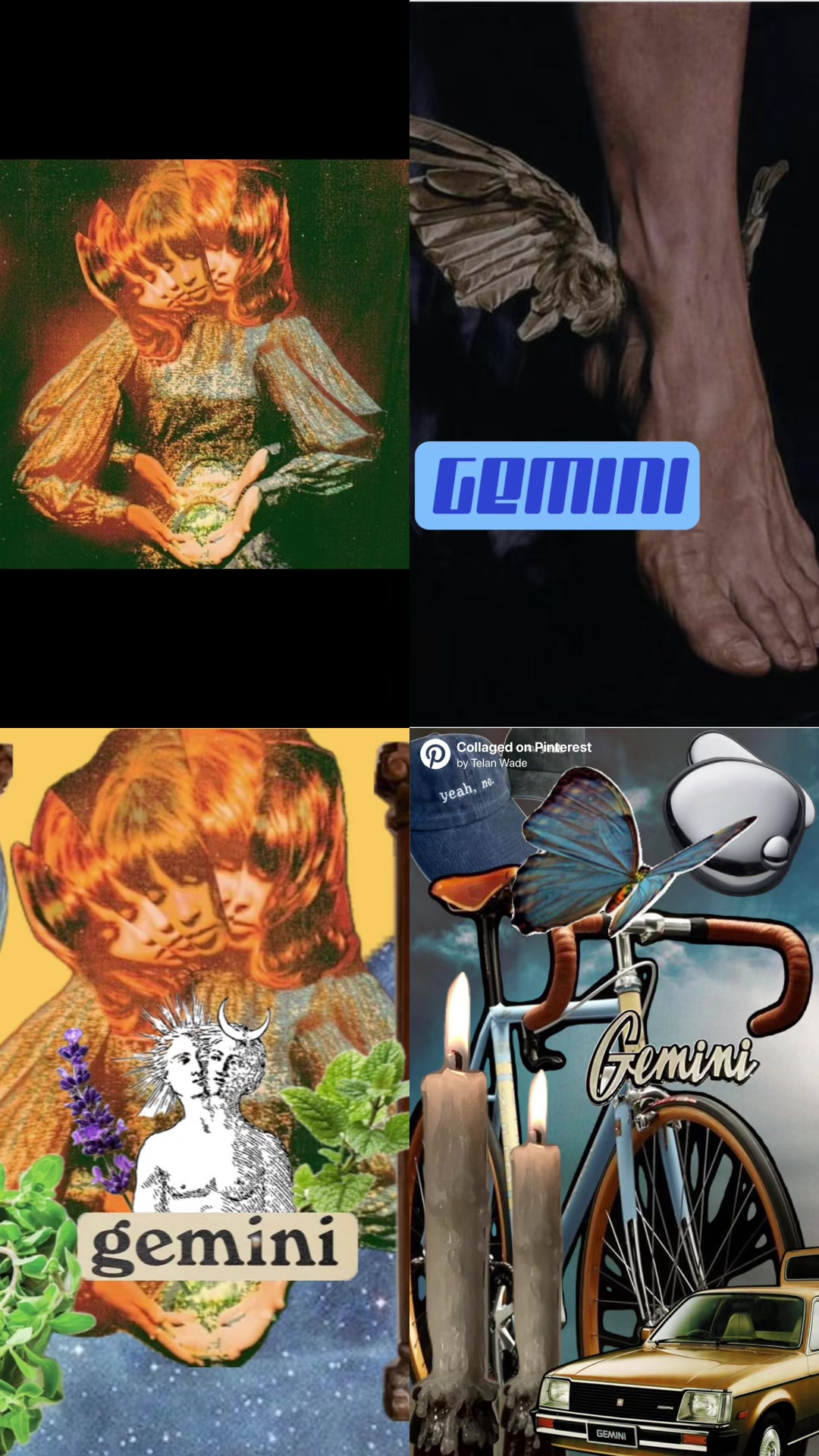 @telanvision
