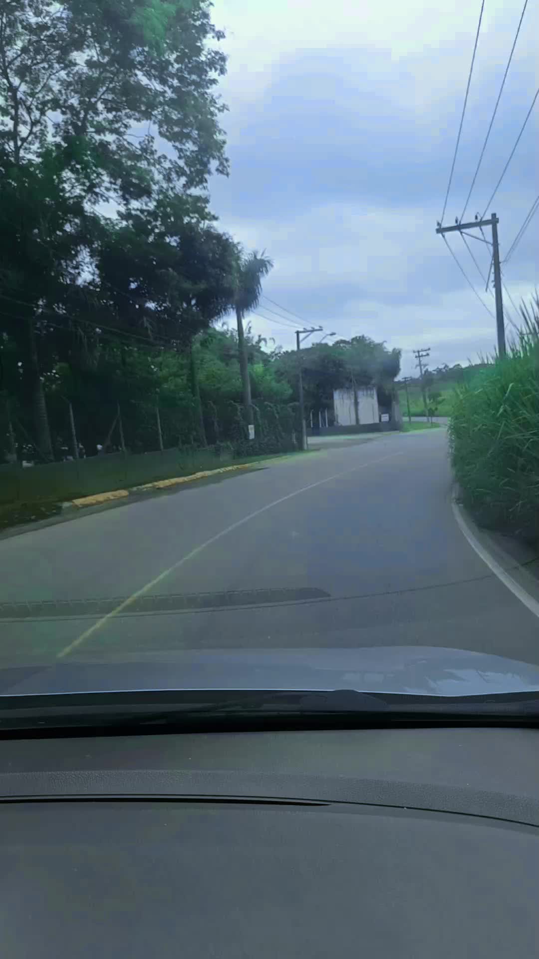 @✨Acuña Gomez❤️🩹
