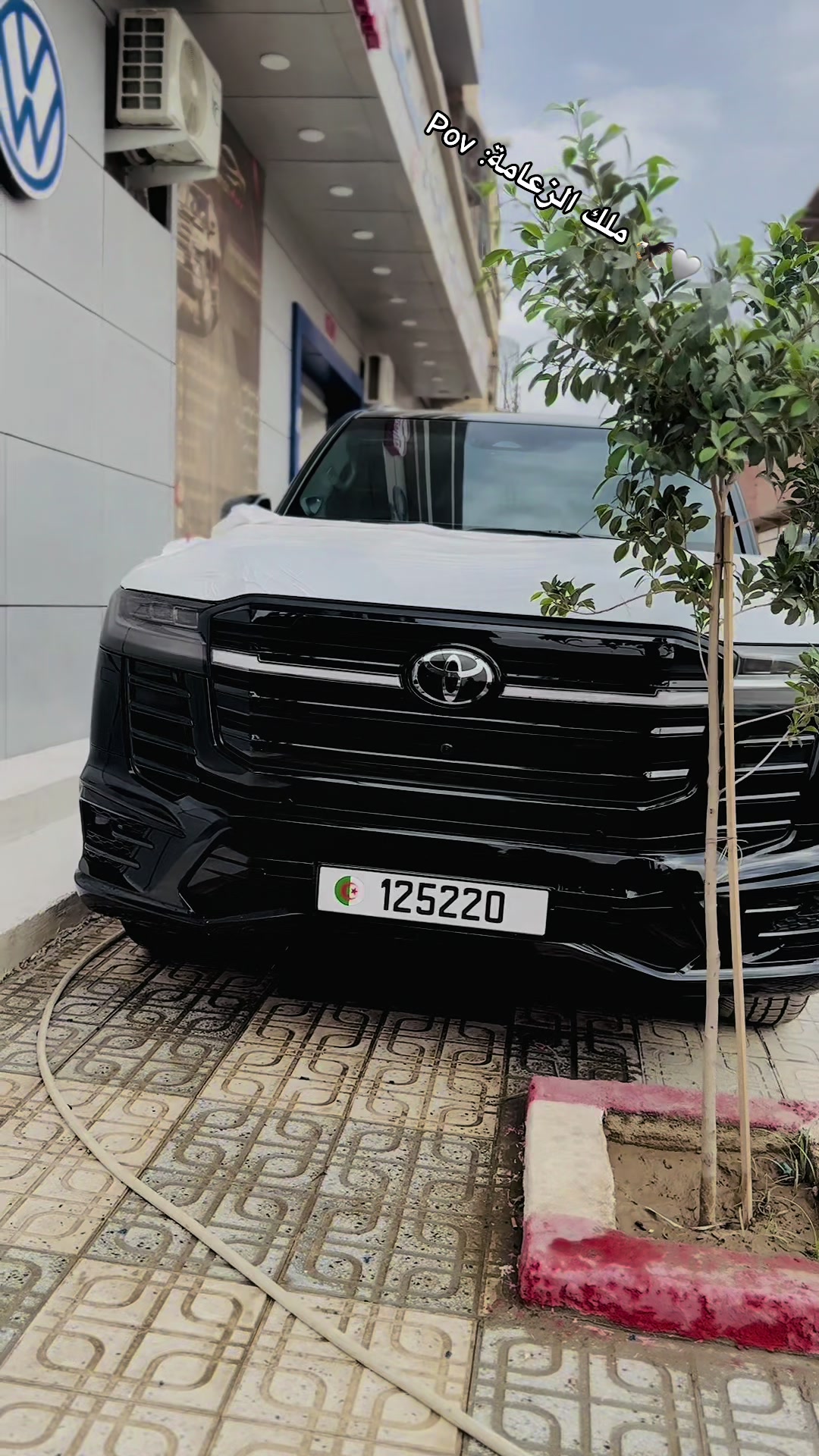 @ملك الزعامة 🦅📸🎥🎞️