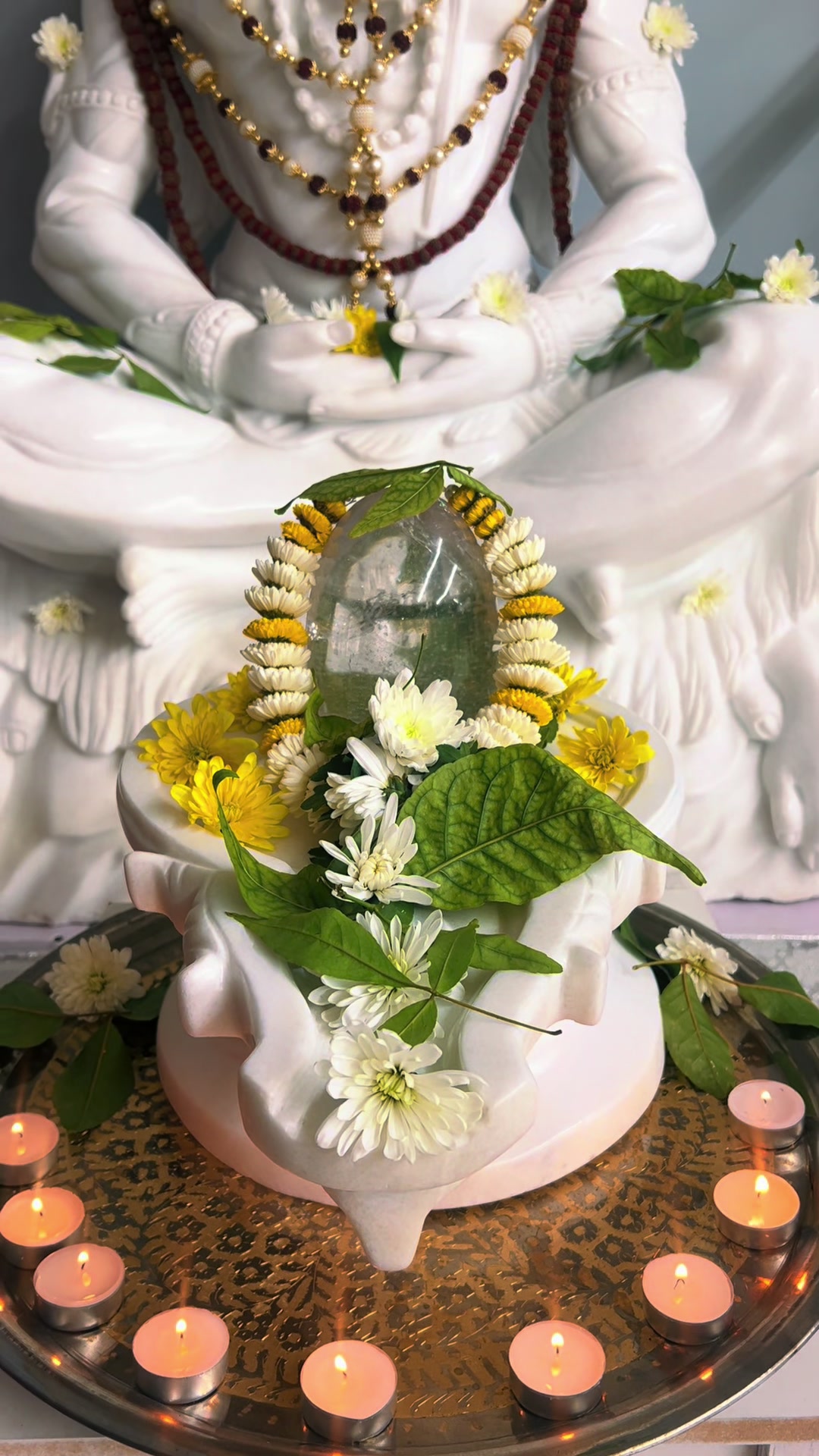 @𝓢𝓱𝓻𝓮𝓮 𝓘𝓶𝓹𝓸𝓻𝓽𝓼