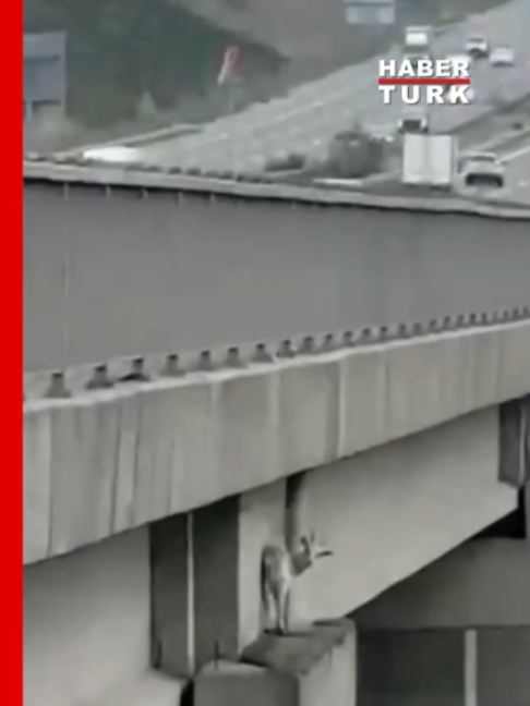 @Habertürk TV