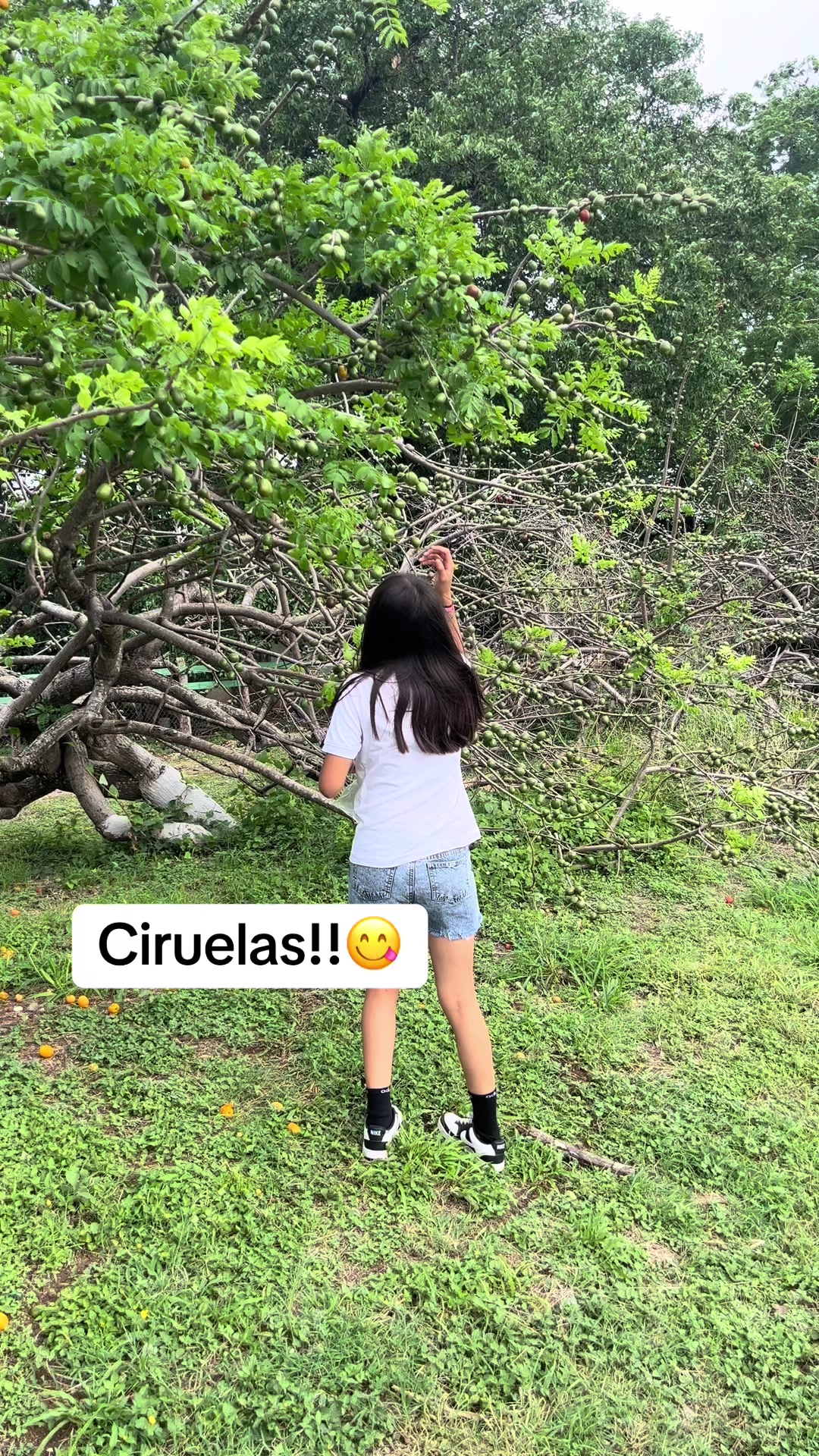 @Grettel Rdz✨🌻