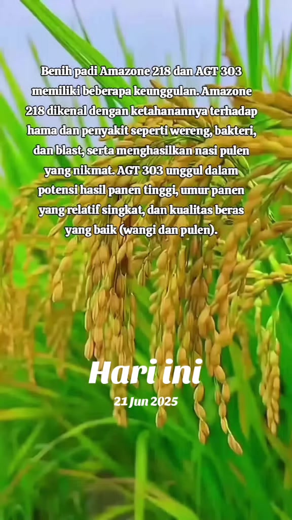 @PT. BHD INDONESIA
