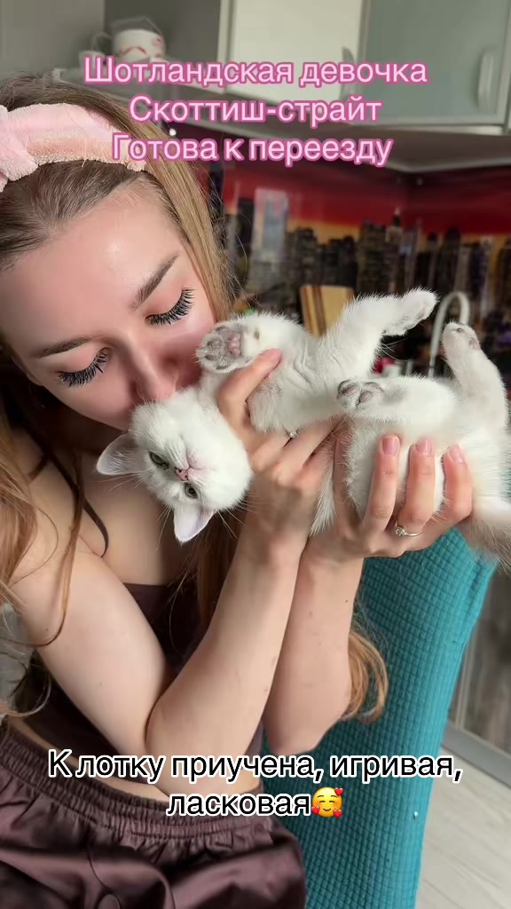 @Cat&Kittens