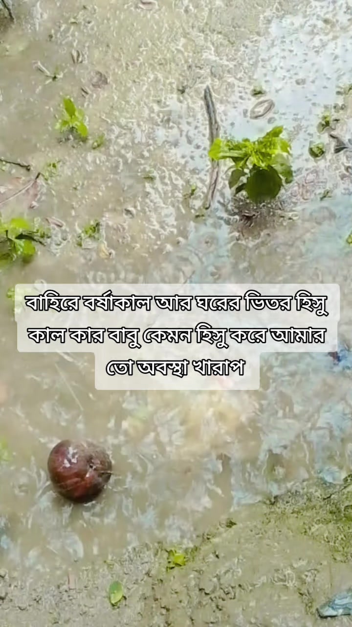 @হাবিবা খাদিজা আরাফাতের আম্মু
