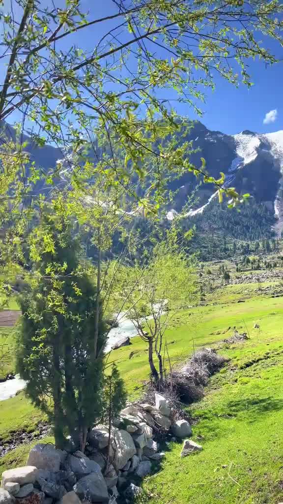 @Mithoo🇵🇰