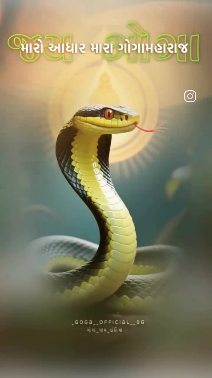 @Nick chaudhari1 🇮🇳 🇺🇸