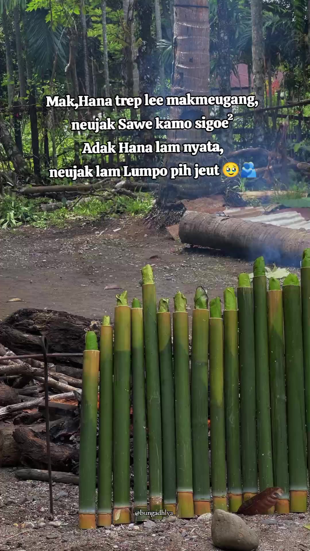 @Bunga