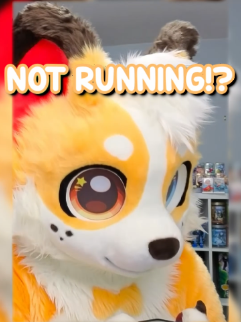 @Corgi