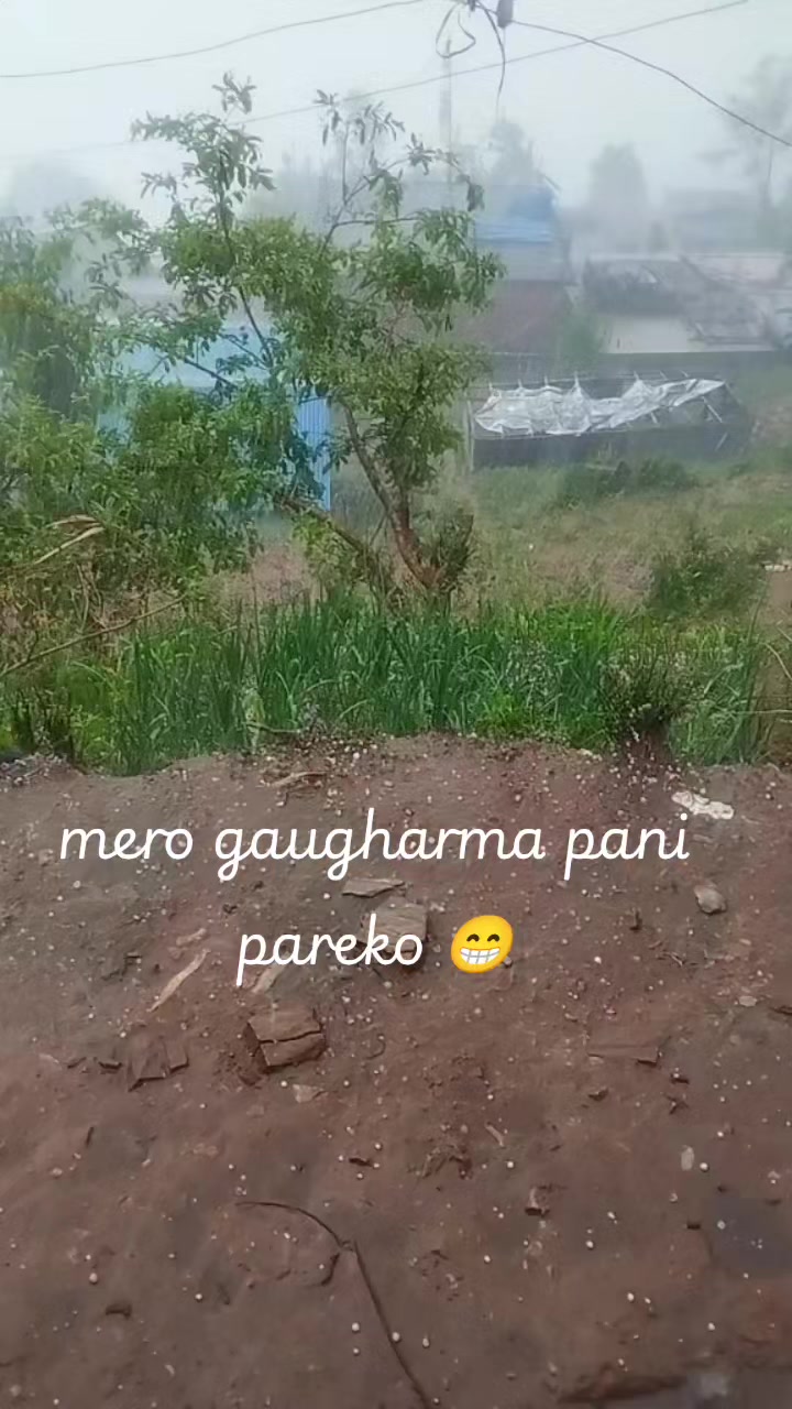 @Nermala sapokta