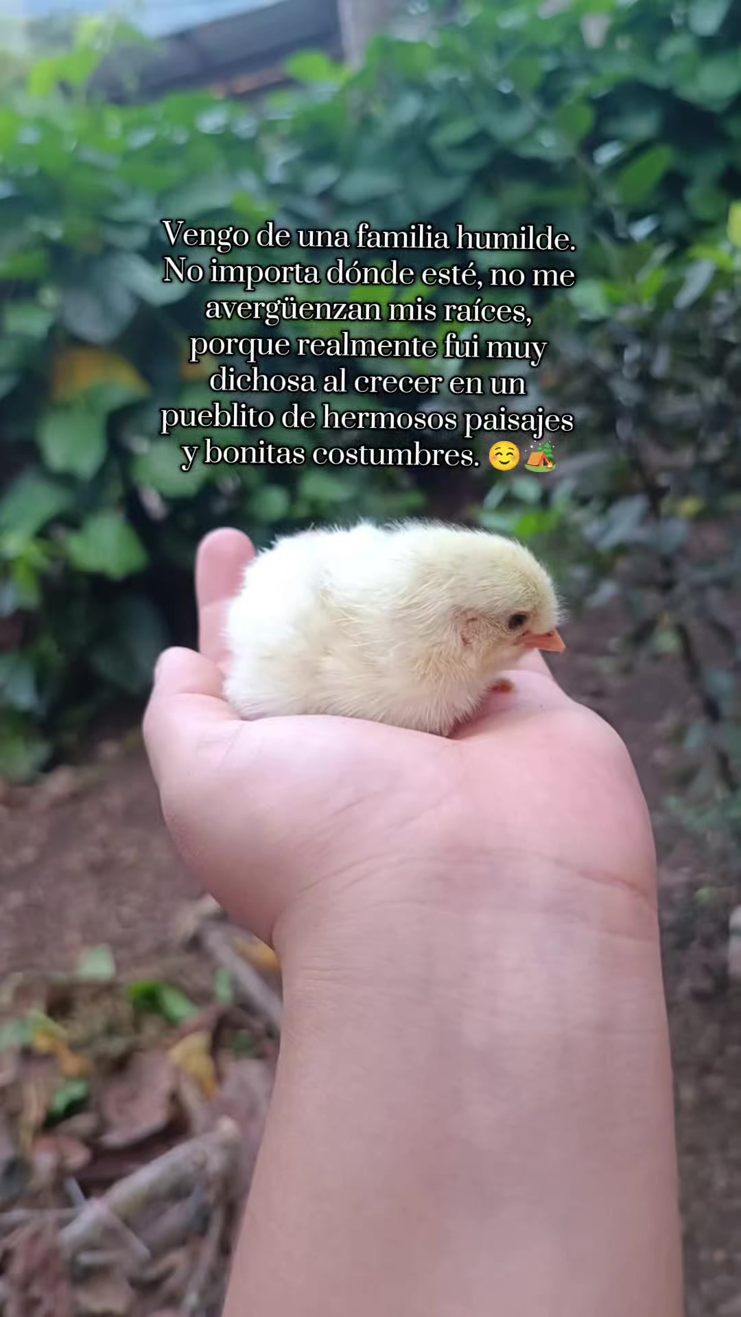 @ℒ𝒾𝓁𝒾 🩷🐭