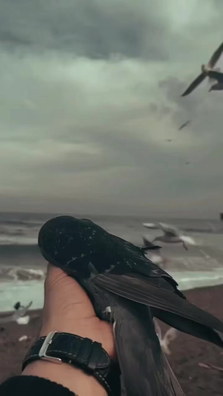 @₃ᶤˢˢᵃ 🫰