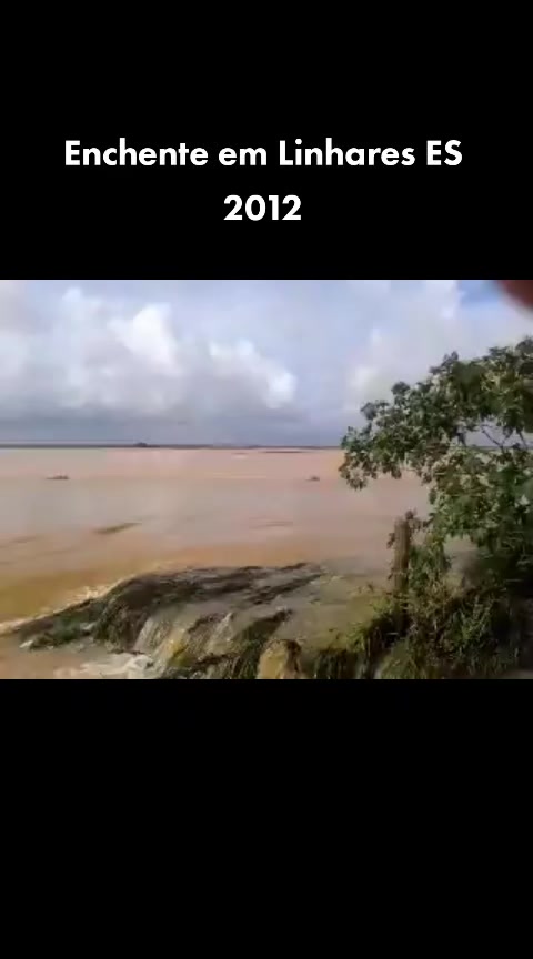 @Palominha Marqx
