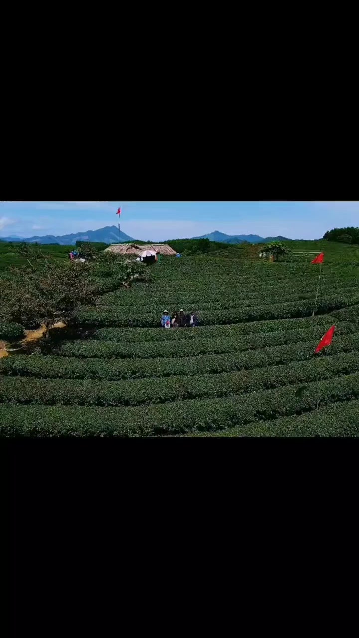 @&Ocirc;ng Nhọn